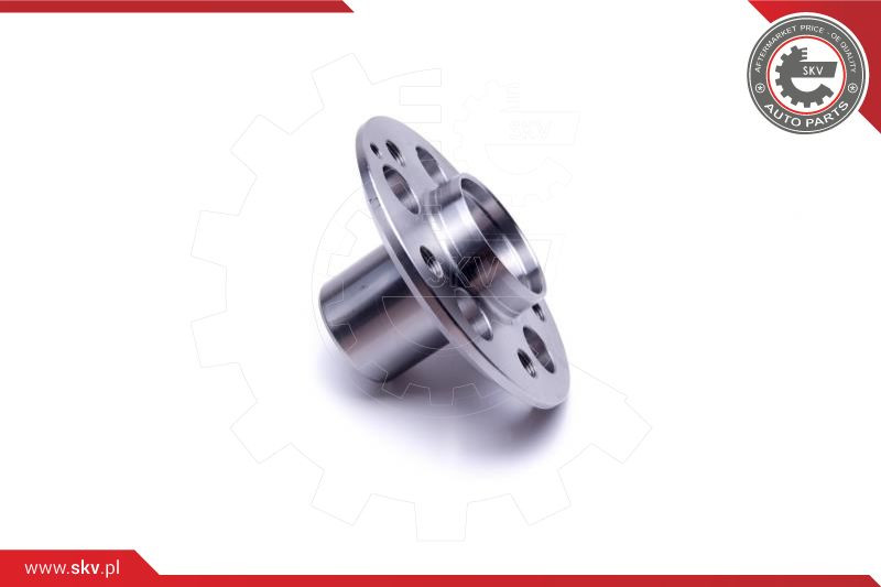 ESEN SKV Radlagersatz