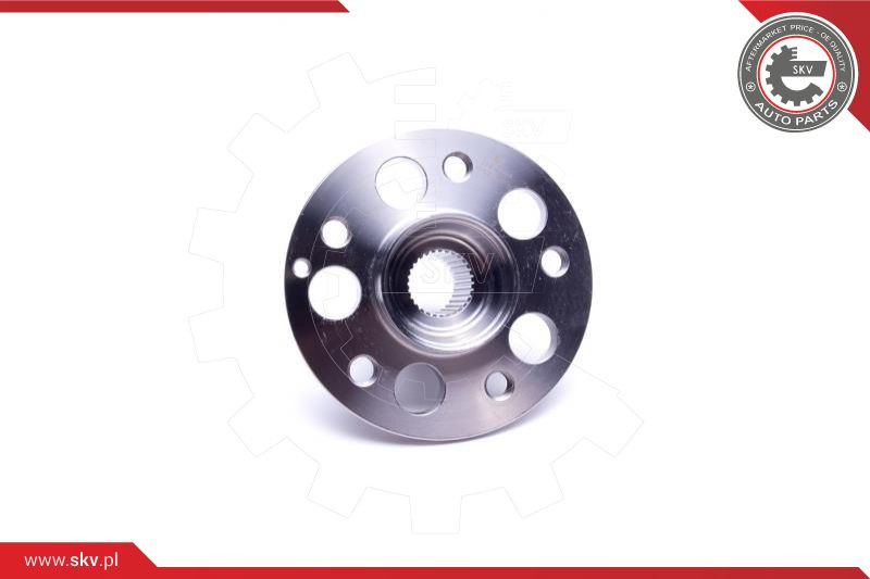 ESEN SKV Radlagersatz