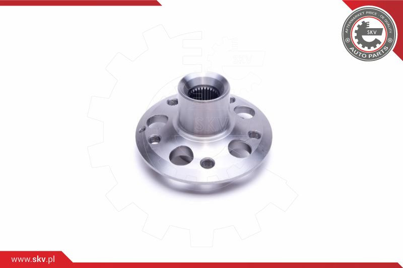 ESEN SKV Radlagersatz