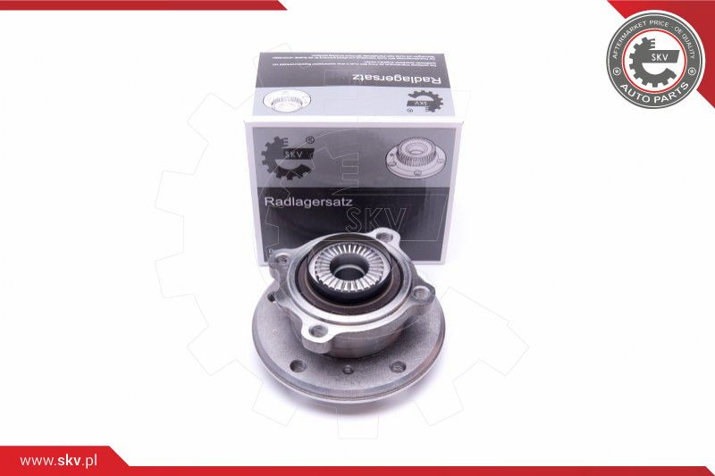 ESEN SKV Radlagersatz