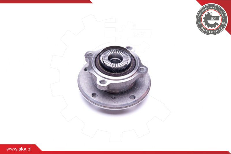 ESEN SKV Radlagersatz
