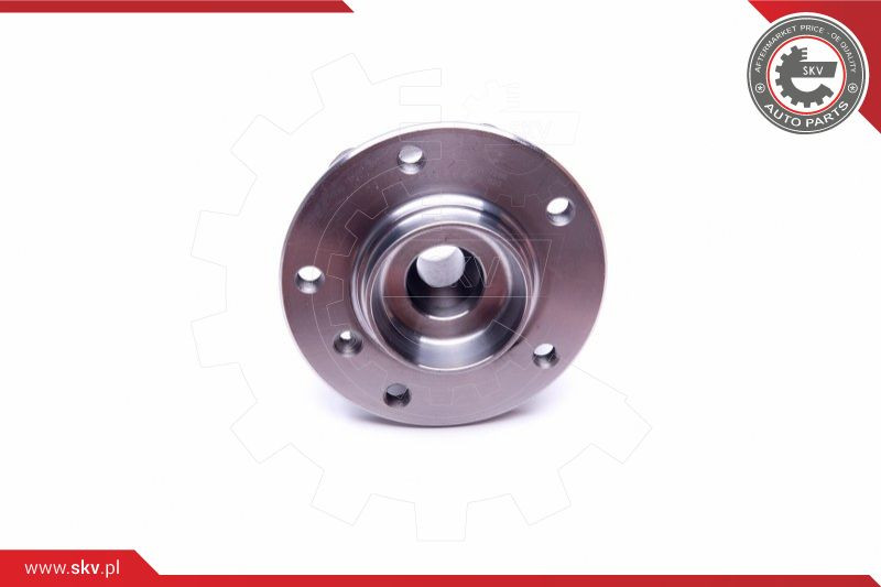 ESEN SKV Radlagersatz