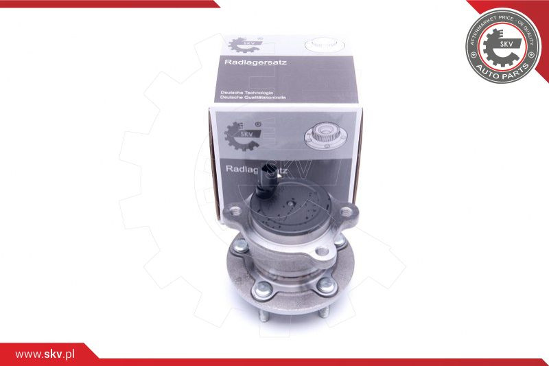 ESEN SKV Radlagersatz