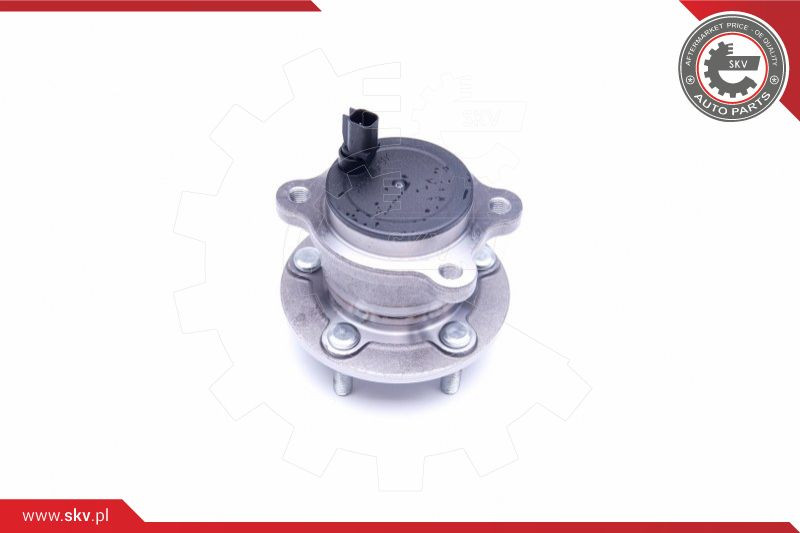 ESEN SKV Radlagersatz