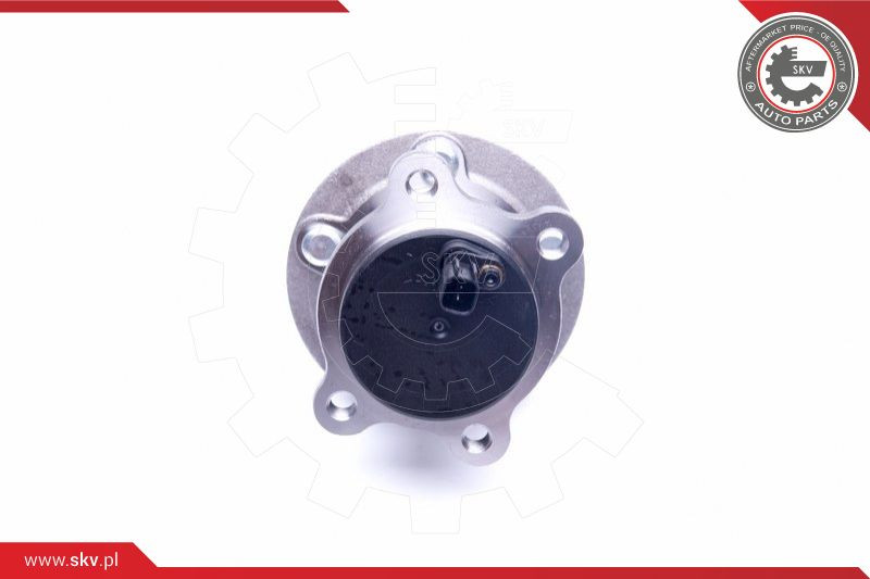 ESEN SKV Radlagersatz