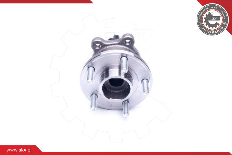 ESEN SKV Radlagersatz