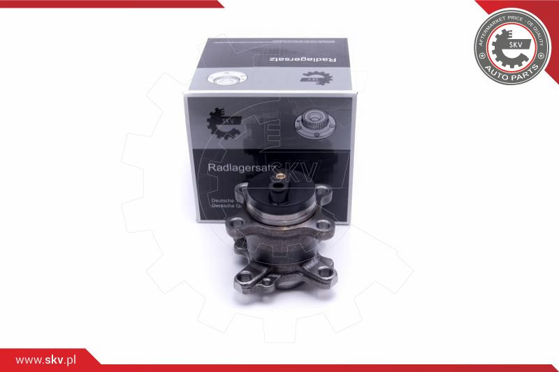 ESEN SKV Radlagersatz