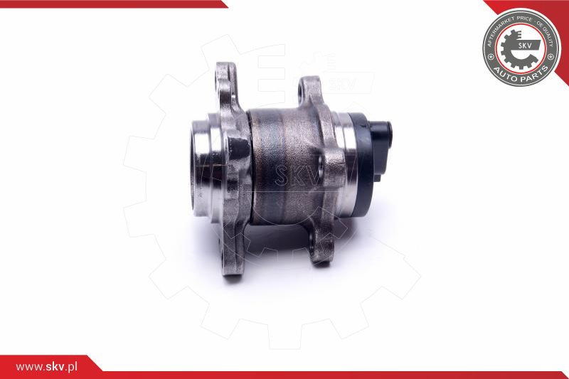 ESEN SKV Radlagersatz