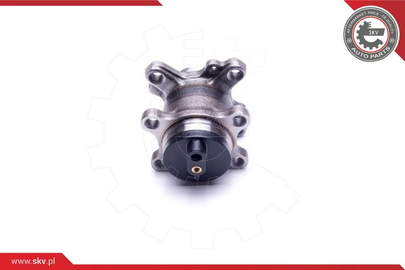 ESEN SKV Radlagersatz