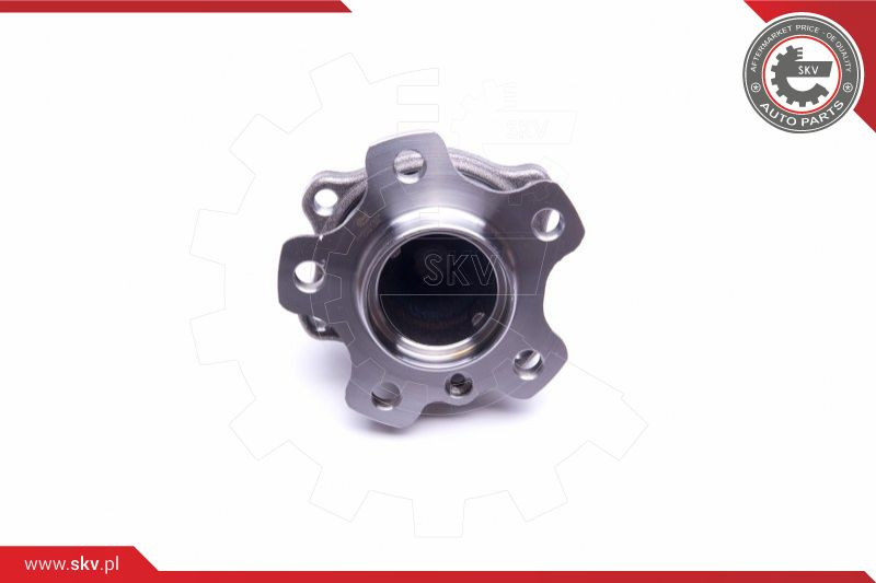 ESEN SKV Radlagersatz