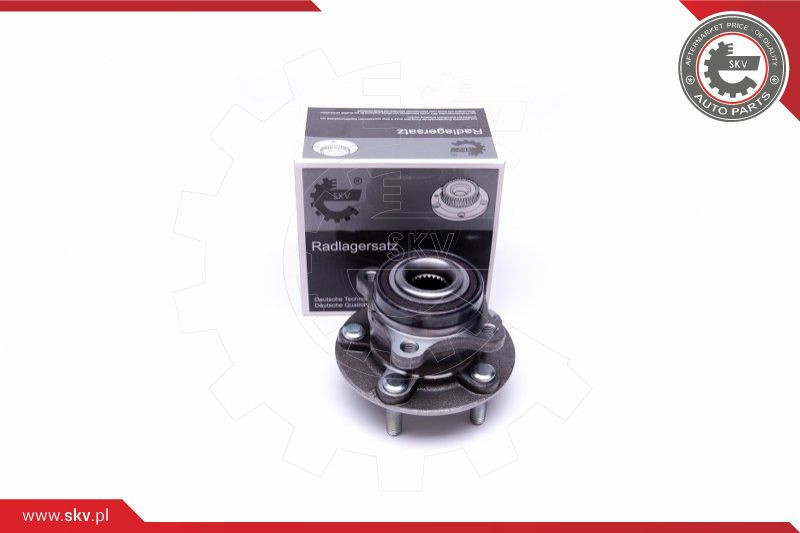 ESEN SKV Radlagersatz