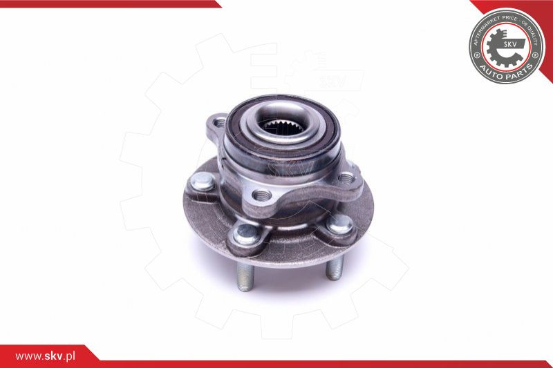 ESEN SKV Radlagersatz