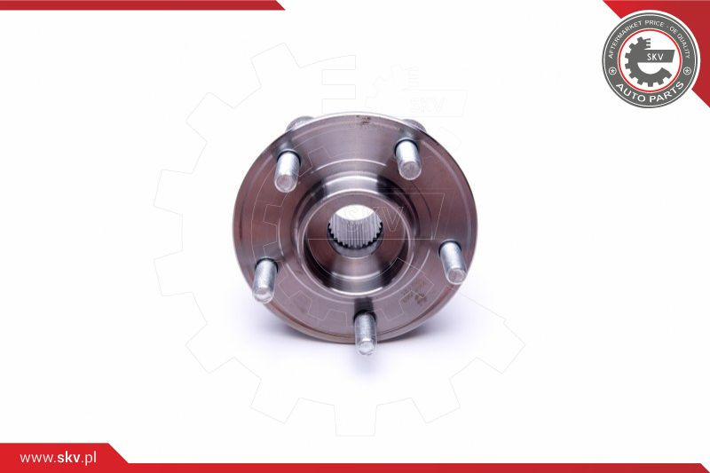 ESEN SKV Radlagersatz
