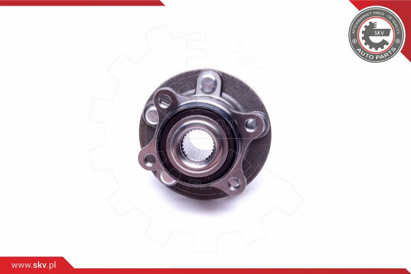 ESEN SKV Radlagersatz