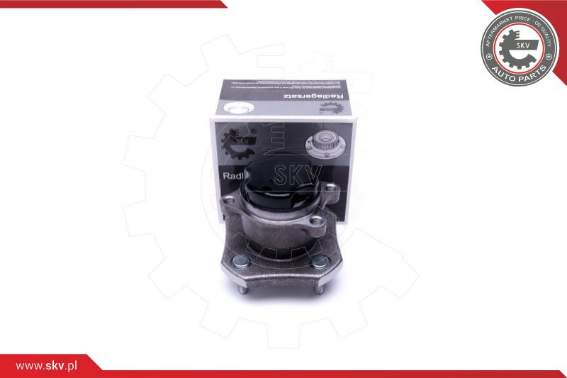 ESEN SKV Radlagersatz