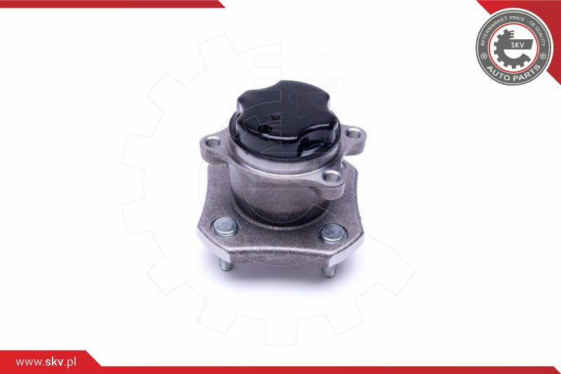 ESEN SKV Radlagersatz