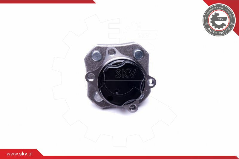 ESEN SKV Radlagersatz