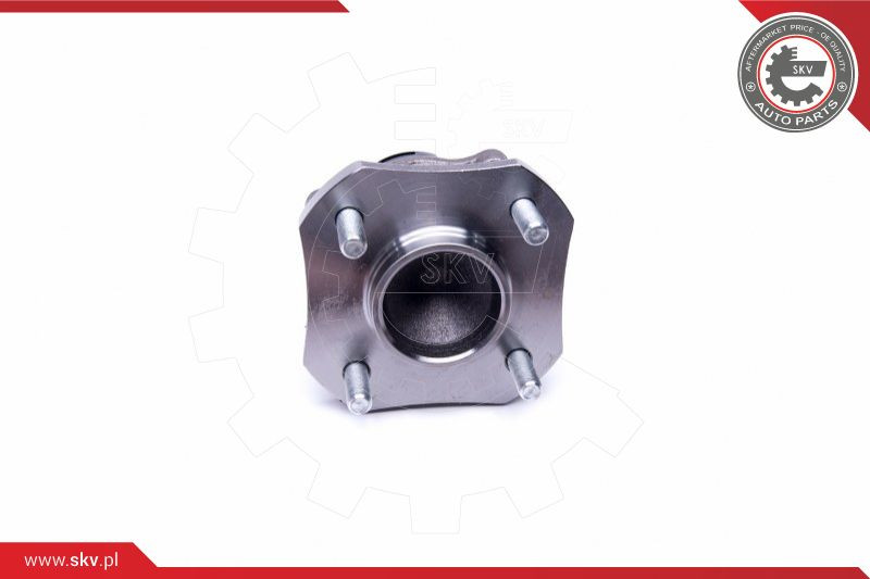 ESEN SKV Radlagersatz