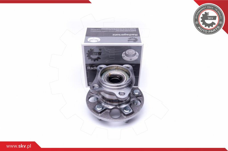 ESEN SKV Radlagersatz