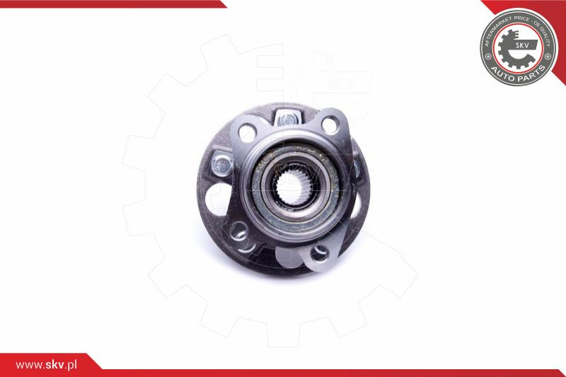 ESEN SKV Radlagersatz