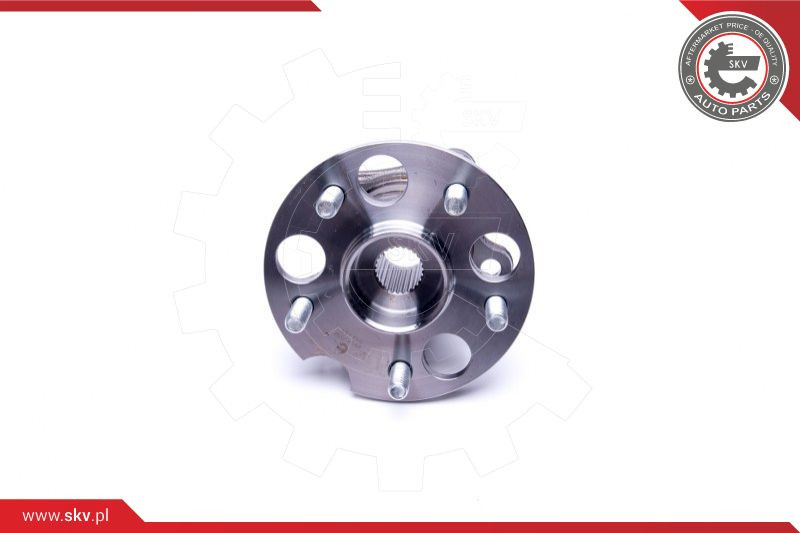 ESEN SKV Radlagersatz