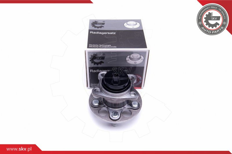 ESEN SKV Radlagersatz