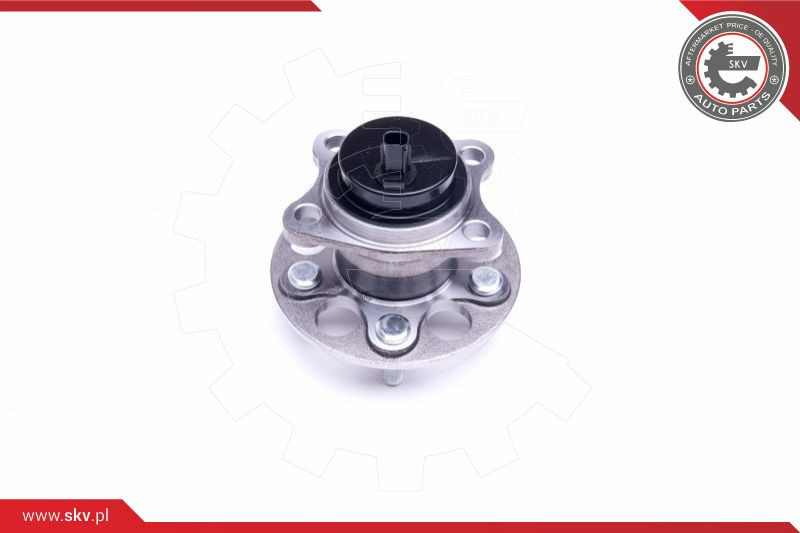 ESEN SKV Radlagersatz