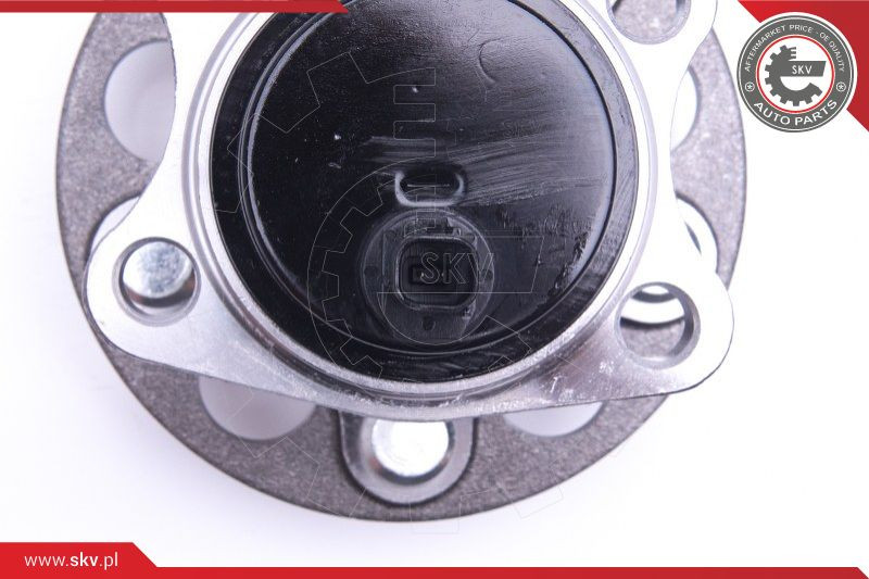 ESEN SKV Radlagersatz