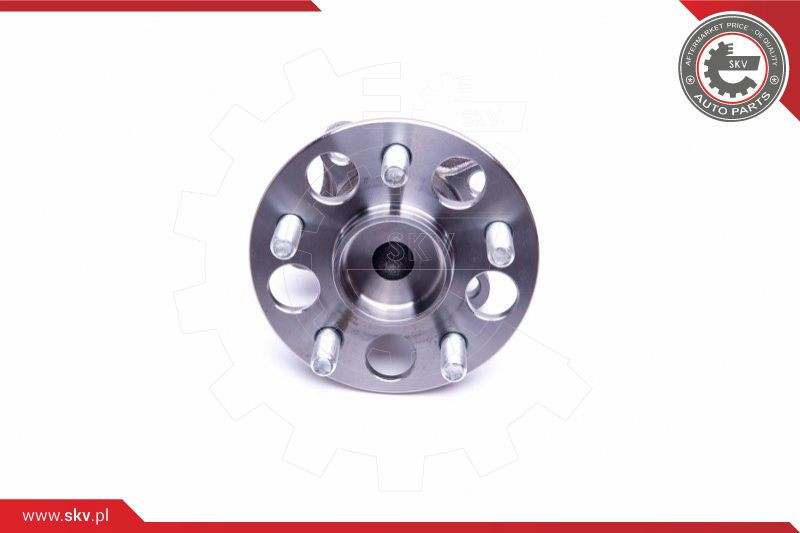 ESEN SKV Radlagersatz