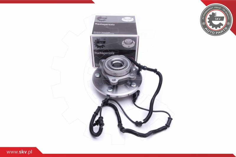 ESEN SKV Radlagersatz