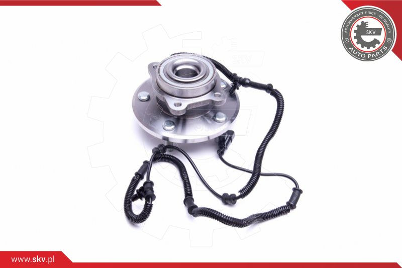 ESEN SKV Radlagersatz