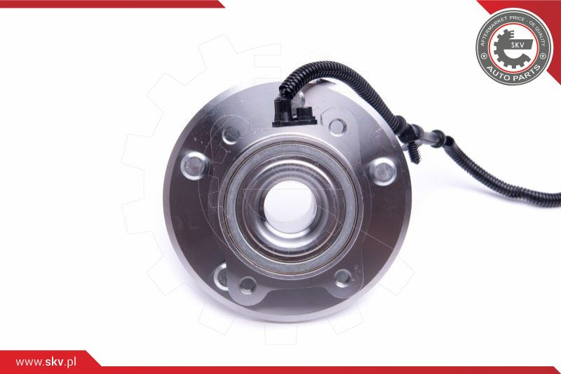 ESEN SKV Radlagersatz