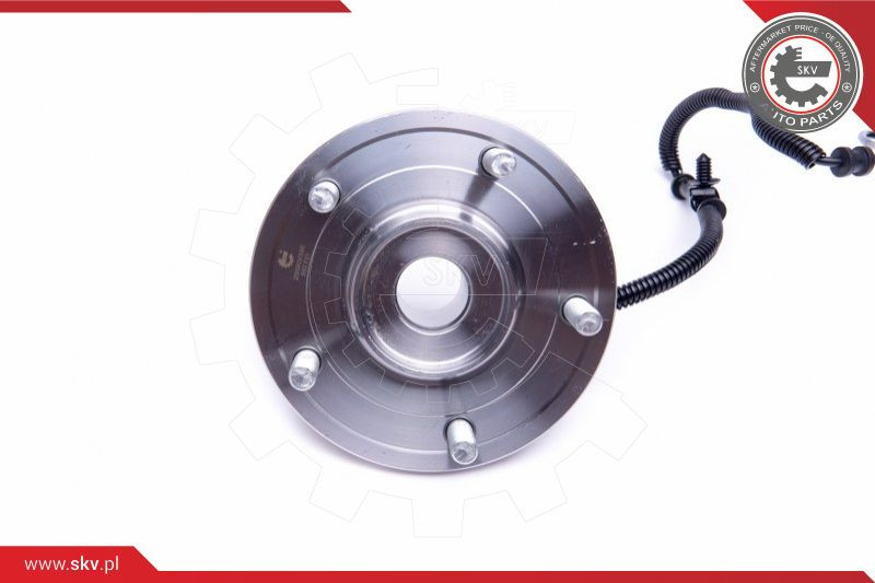 ESEN SKV Radlagersatz