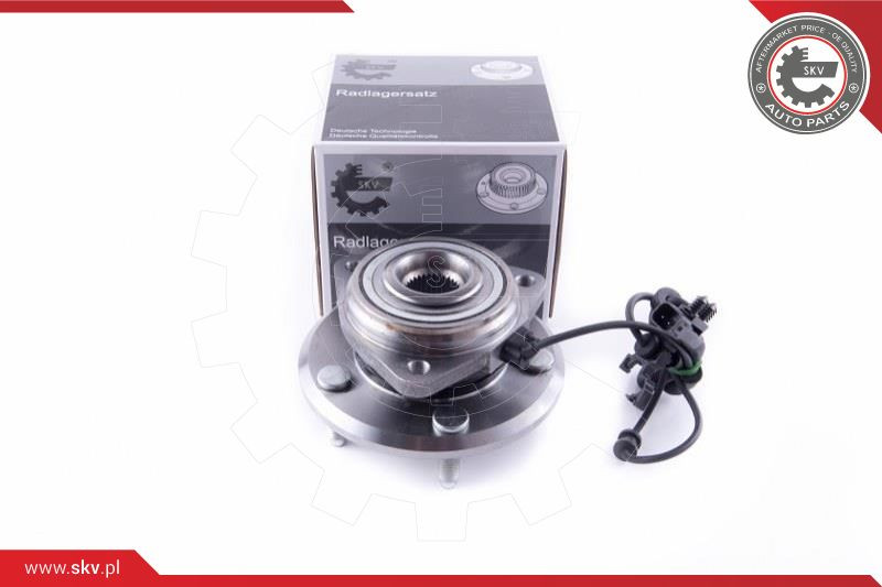 ESEN SKV Radlagersatz