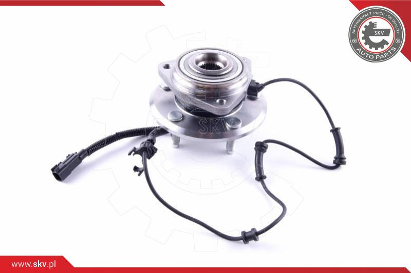 ESEN SKV Radlagersatz