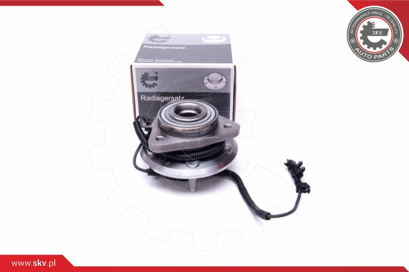 ESEN SKV Radlagersatz