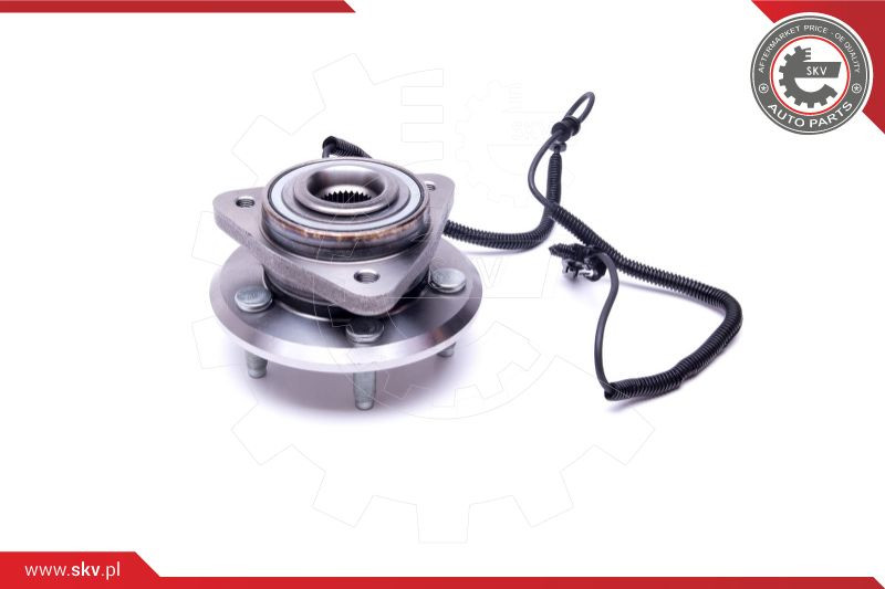 ESEN SKV Radlagersatz