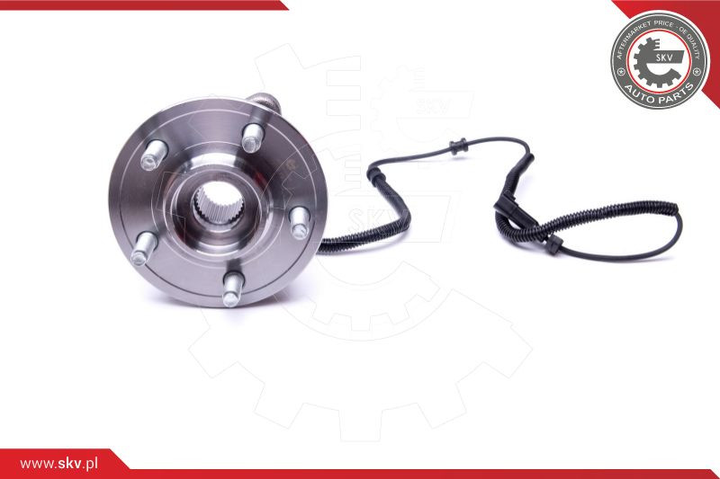 ESEN SKV Radlagersatz