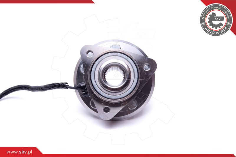 ESEN SKV Radlagersatz