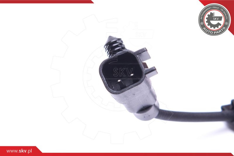 ESEN SKV Radlagersatz