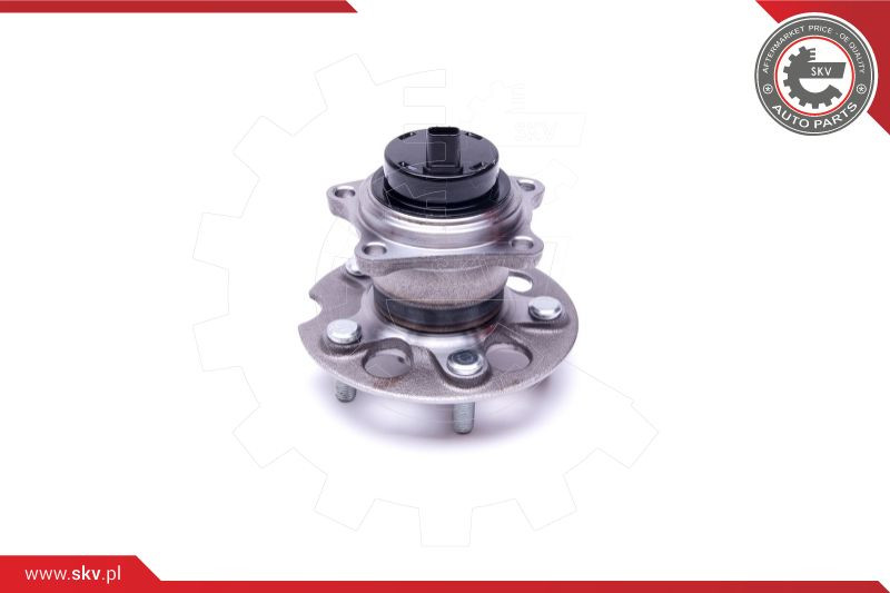 ESEN SKV Radlagersatz