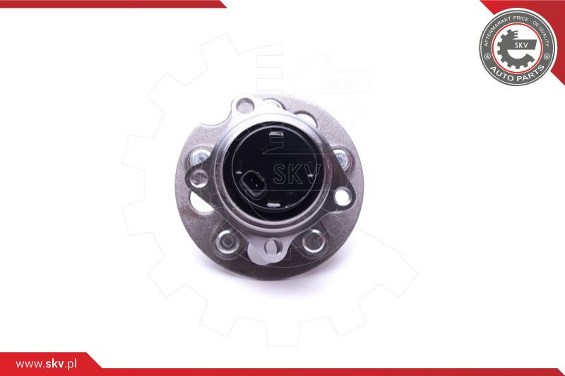 ESEN SKV Radlagersatz