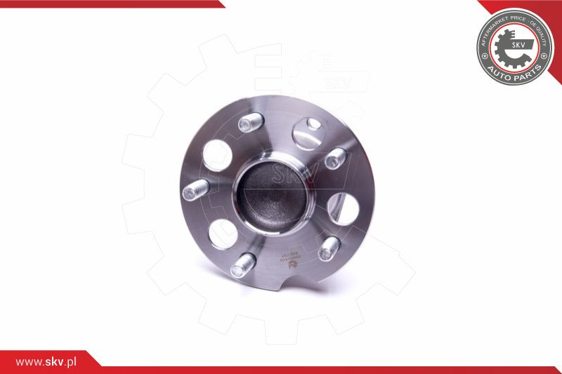 ESEN SKV Radlagersatz