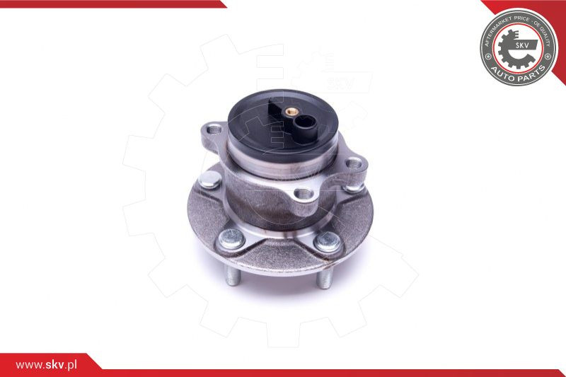 ESEN SKV Radlagersatz