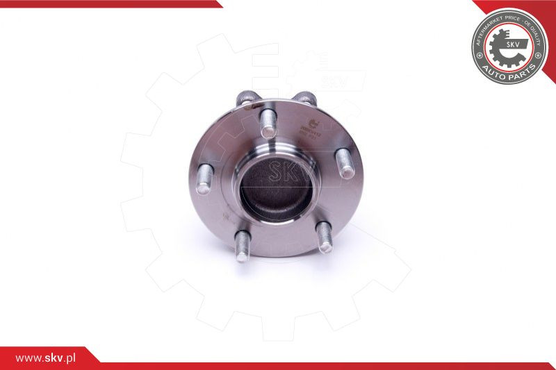 ESEN SKV Radlagersatz