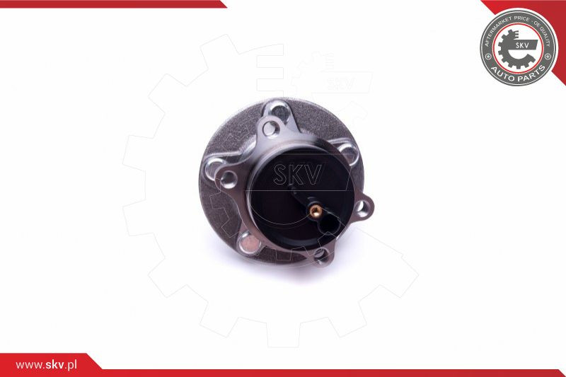 ESEN SKV Radlagersatz