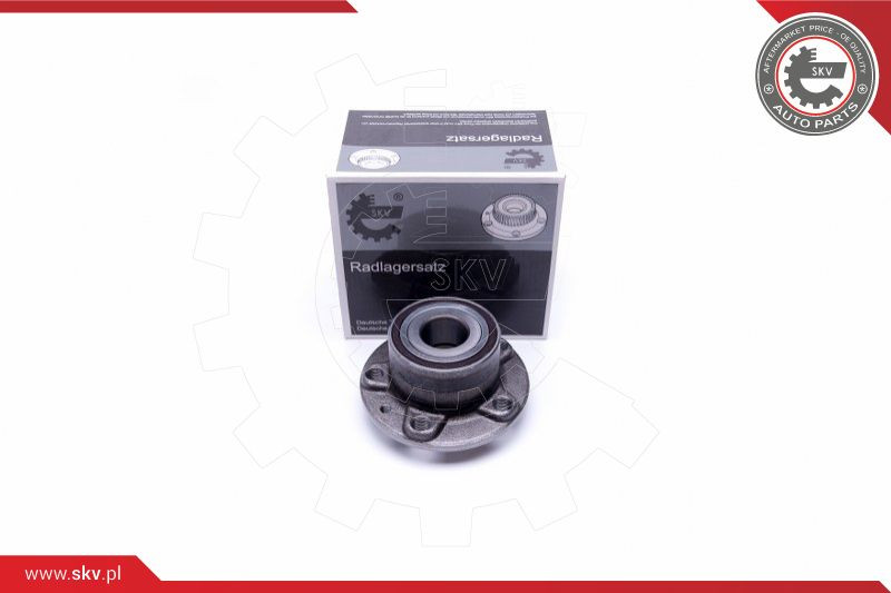 ESEN SKV Radlagersatz