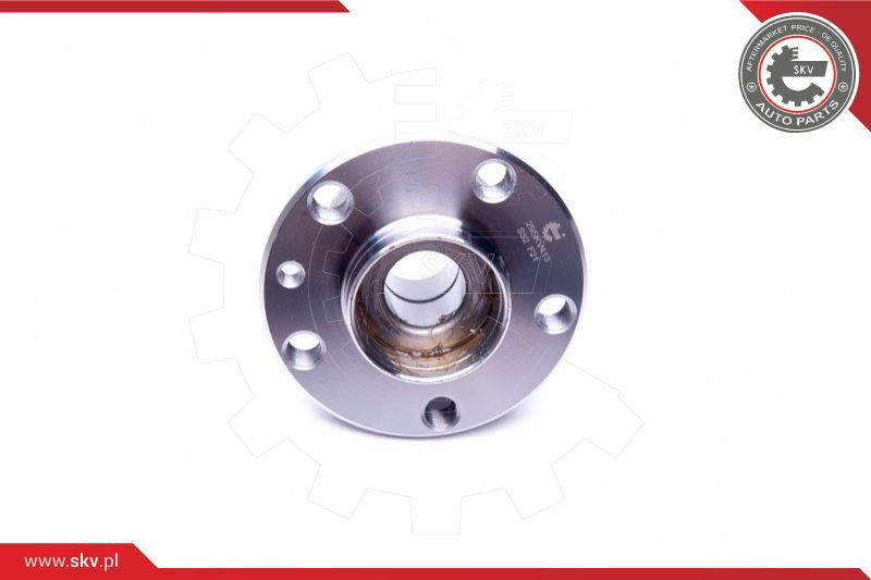 ESEN SKV Radlagersatz
