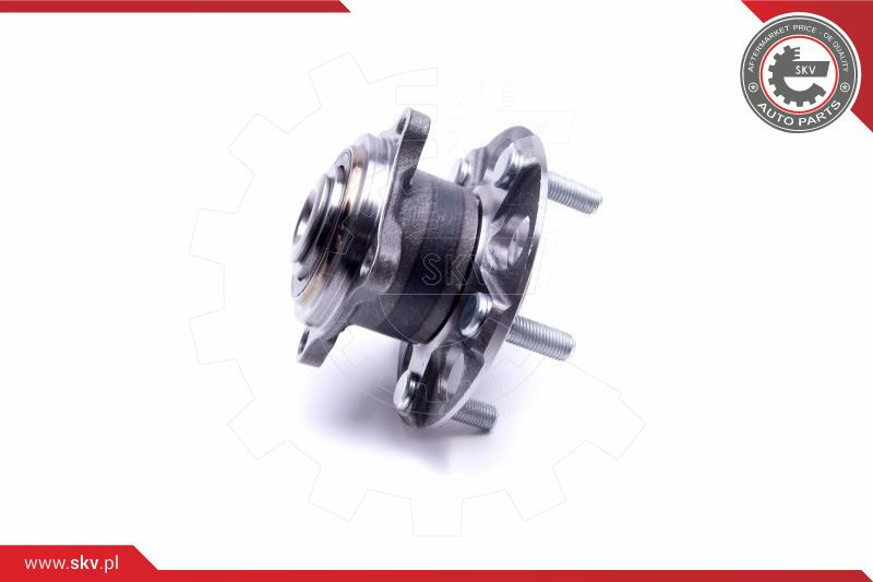 ESEN SKV Radlagersatz