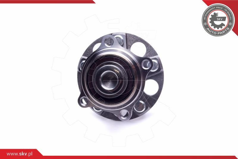 ESEN SKV Radlagersatz